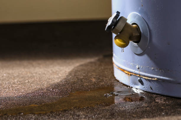 Trusted Shavano Park, TX Water damage restoration Experts