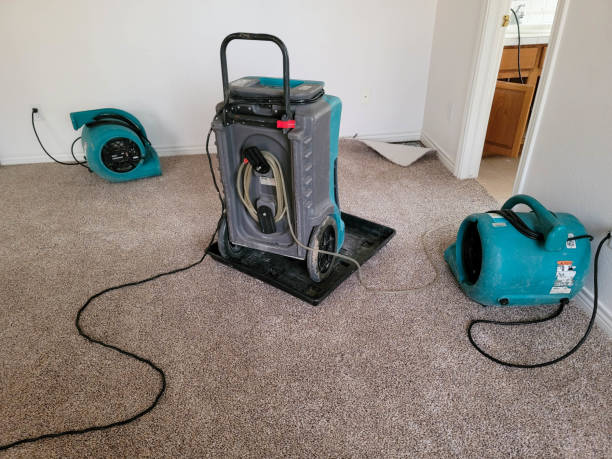 Best Water damage restoration near me  in Shavano Park, TX