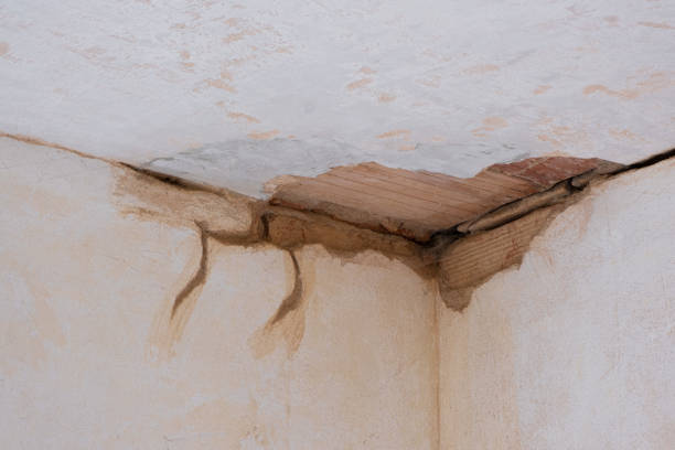 24/7 water damage repair in Shavano Park, TX