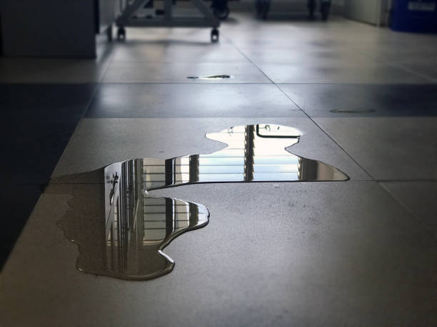 Best 24-hour water damage restoration  in Shavano Park, TX