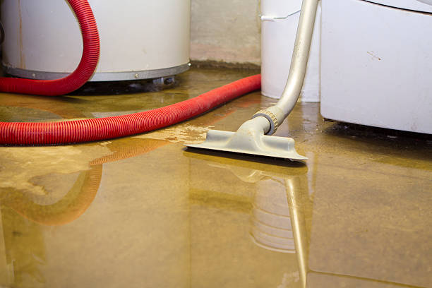 Best Flood damage cleanup  in Shavano Park, TX