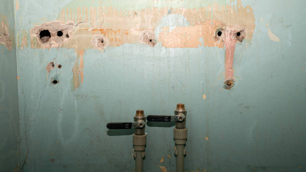 Best Sewage cleanup and water damage restoration  in Shavano Park, TX