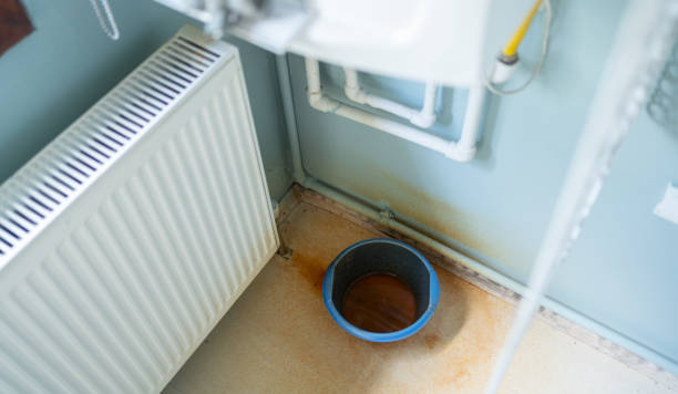 Best 24-hour water damage restoration  in Shavano Park, TX