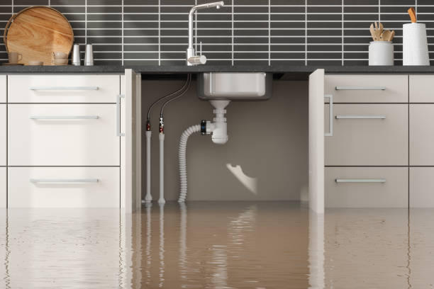 Best Flooded house restoration  in Shavano Park, TX